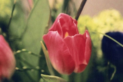 s6