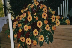s26