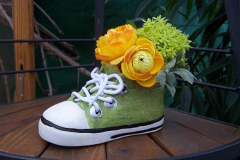 s31